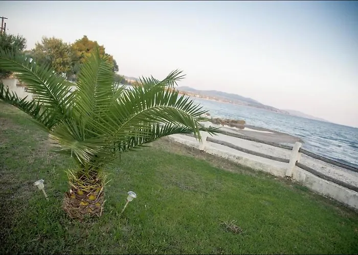 On The Wave Spitakia Sto Kyma 3* Никити