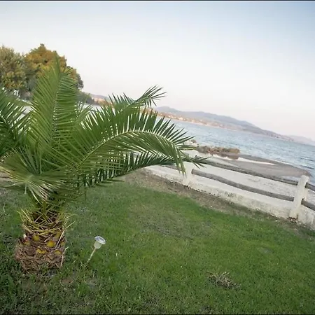 On The Wave Spitakia Sto Kyma 3* 尼基季