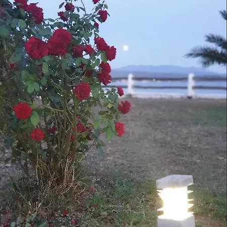 公寓式酒店 On The Wave Spitakia Sto Kyma 3*