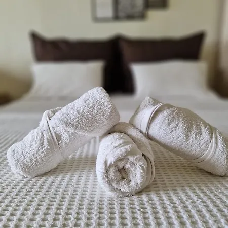 公寓式酒店 On The Wave Spitakia Sto Kyma 尼基季