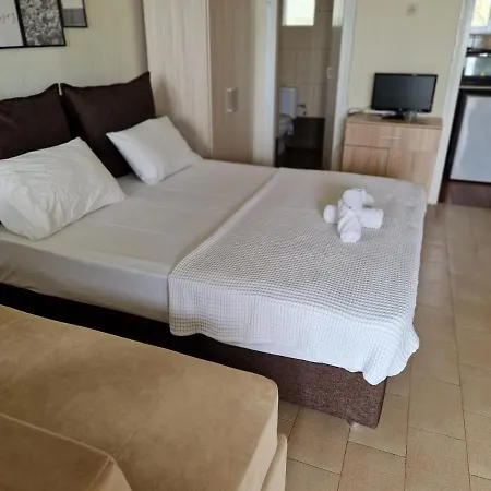 On The Wave Spitakia Sto Kyma 3* 尼基季